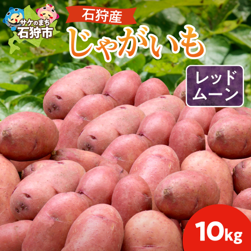 石狩産 じゃがいも（レッドムーン） 10kg【9月発送】｜野菜 芋 北海道 石狩市 190173 - 北海道石狩市