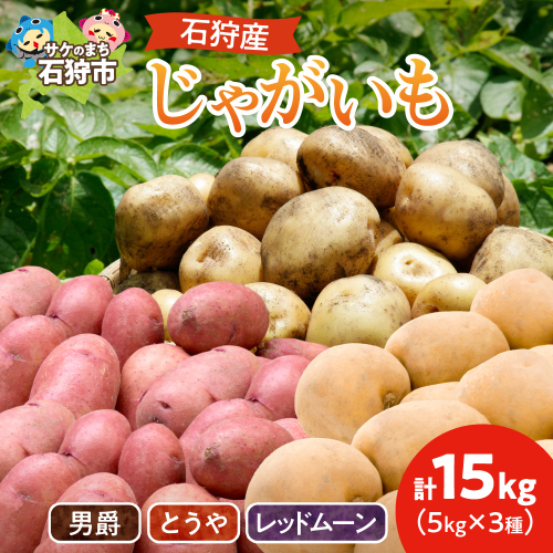石狩産 じゃがいも3種セット(男爵・とうや・レッドムーン) 15kg【9月発送】｜野菜 芋 北海道 石狩市 190174 - 北海道石狩市