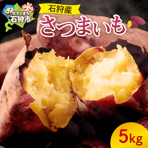 石狩産さつまいも 5kg【10月発送】｜野菜 さつまいも 北海道 石狩市 190177 - 北海道石狩市