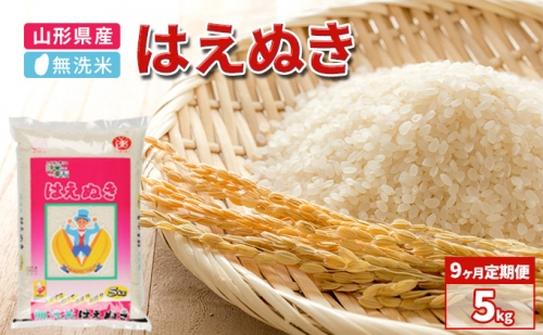 【9ヶ月】令和3年産 山形県産 一等米 無洗米はえぬき5kg【定期便】【山形県産・BG精米製法】 190418 - 山形県大江町