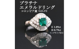 【ふるさと納税】プラチナエメラルドリング＜E 1.09ct・D 0.79ct＞コロンビア産 GIA F2【1524084】