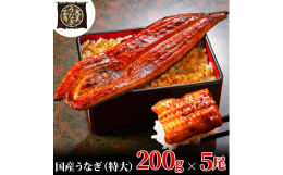 大五うなぎ工房は、島田の地で50年、飲食店向けに活うなぎの卸売りから、白焼、蒲焼の加工を行っております。創業180年を超える老舗秘伝のレシピを基に、本醸造醤油、長期熟成みりんといった厳選素材を使って仕