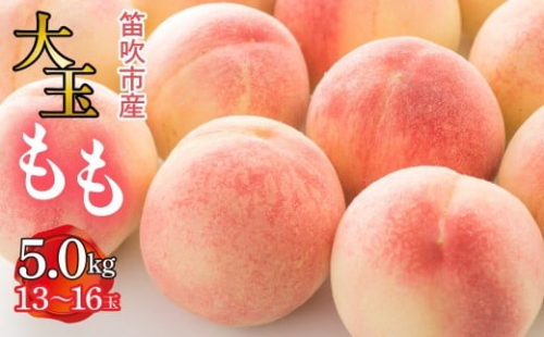 【2026年発送★先行予約】笛吹市産　大玉もも　5.0kg(13～16玉)  227-010-26y