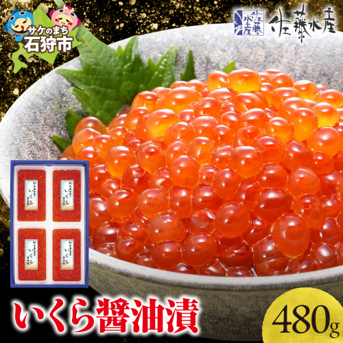 佐藤水産 いくら醤油漬 480g 190563 - 北海道石狩市