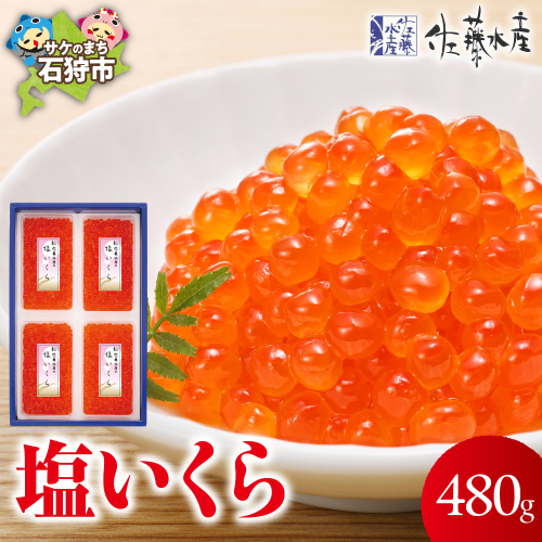 佐藤水産 塩いくら 480g 190570 - 北海道石狩市