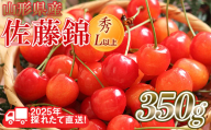 FYN6-030 ≪先行予約≫2025年 山形県産 さくらんぼ 佐藤錦 350g 秀/L以上 バラパック詰め 2025年6月中旬頃より発送 果物 くだもの フルーツ 夏果実 サクランボ 桜桃 高級 贈答 ギフト 山形県 西川町