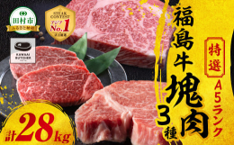 【ふるさと納税】【 厳選 福島牛 A5 】塊肉3種 詰合せ 合計28kg スパイス付き ヒレ サーロイン リブロース ブロック肉 ステーキ BBQ ロー