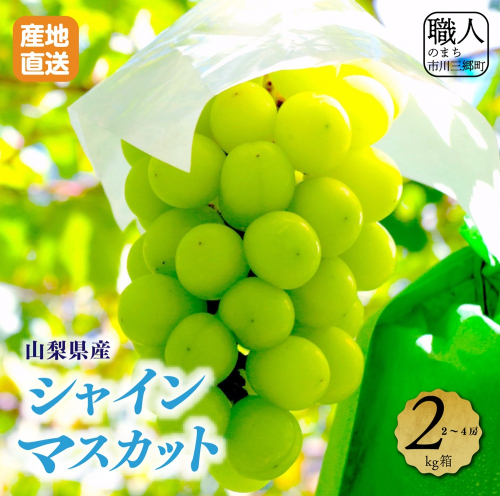 【先行予約】山梨県産シャインマスカット　2キロ箱 【2025年9月上旬から発送】 薬袋農園[5839-1001] 190853 - 山梨県市川三郷町