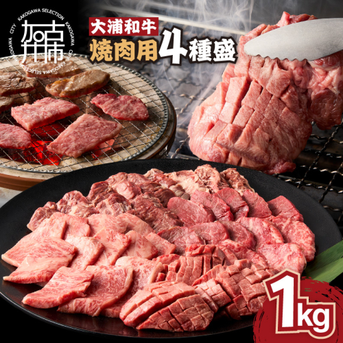 大浦和牛焼肉セット(1kg)《 牛肉 牛 国産 焼肉 セット おすすめ ロース 美味しい 牛タン ハラミ ヘレ フィレ ヒレ ヒレ肉 食べ比べ バーベキュー 》【2405A00206】 190862 - 兵庫県加古川市