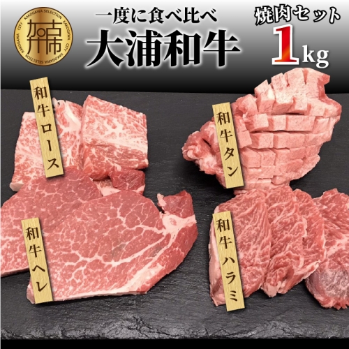 大浦和牛焼肉セット（1kg） 190862 - 兵庫県加古川市
