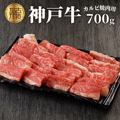 神戸牛（加古川育ち）カルビ焼肉用（600g） 190864 - 兵庫県加古川市