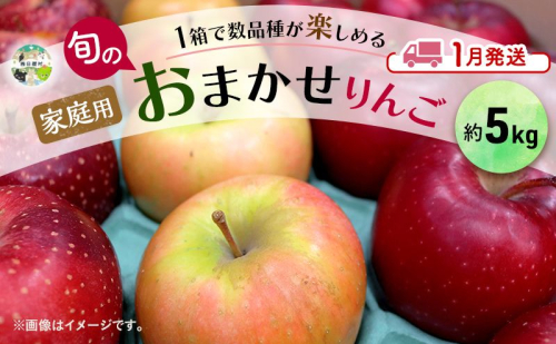 りんご 【 1月発送 】 家庭用 旬のりんご 品種おまかせ 約 5kg 2品種～4品種 1909167 - 青森県西目屋村