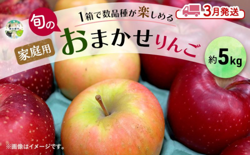 りんご 【3月発送】 家庭用 旬のりんご 品種おまかせ 約 5kg 2品種～4品種 1909170 - 青森県西目屋村