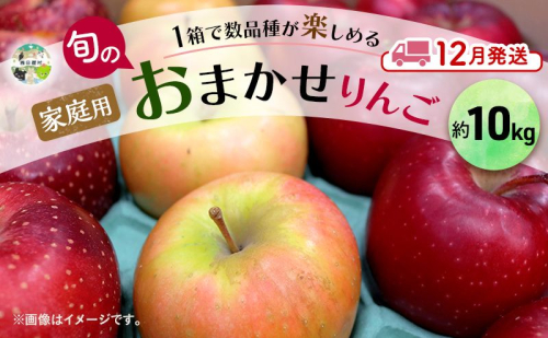 りんご 【 12月発送 】 家庭用 旬のりんご 品種おまかせ 約 10kg 2種類～4種類 1909172 - 青森県西目屋村