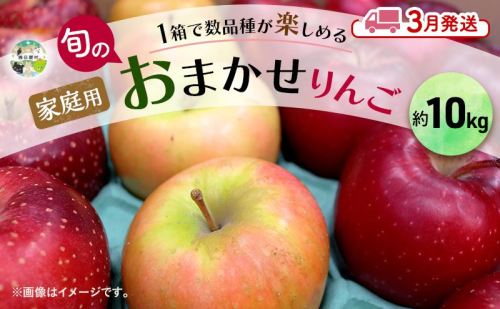 りんご 【 3月発送 】 家庭用 旬のりんご 品種おまかせ 約 10kg 2種類～4種類 1909177 - 青森県西目屋村