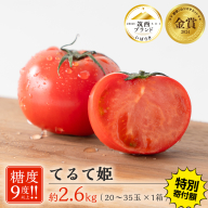 【 早期申込み限定 特別寄附額 】 てるて姫 大箱 約2.6kg × 1箱 【20〜35玉/1箱】 2026年産 野菜ソムリエサミット 金賞 糖度9度 以上 野菜 フルーツトマト フルーツ トマト とまと [AF109ci]