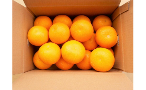 和歌山由良町産さつきはっさく 約5kg 秀品 サイズおまかせ (Ｌまたは２Ｌいずれかお届け) ［SL3］ 1909781 - 和歌山県那智勝浦町