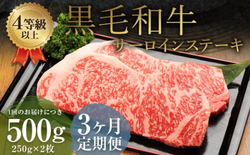 【3ヶ月定期便】くまもと黒毛和牛 サーロインステーキ 500g（250g×2枚） 牛肉 牛 肉 1910159 - 熊本県益城町