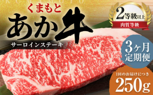 【3ヶ月定期便】くまもとあか牛 サーロイン 250g×1枚 牛肉 牛 肉 1910178 - 熊本県益城町