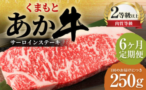 【6ヶ月定期便】くまもとあか牛サーロイン 250g×1枚 牛肉 牛 肉 1910180 - 熊本県益城町