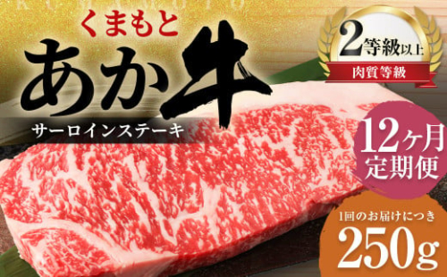 【12ヶ月定期便】くまもとあか牛 サーロイン 250g×1枚 牛肉 牛 肉 1910181 - 熊本県益城町