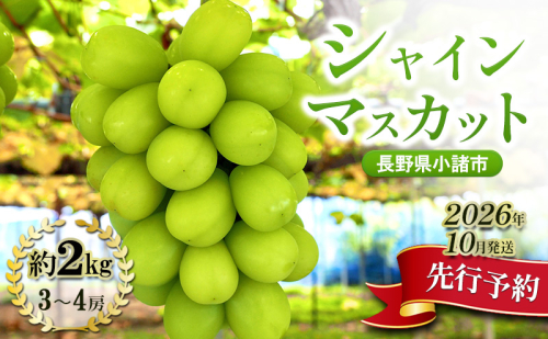 シャインマスカット 先行予約 約2kg 3～4房 果物 フルーツ ぶどう 大粒 甘い 完熟 1910377 - 長野県小諸市