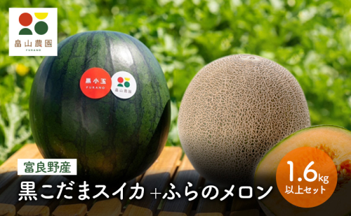 【2025年夏配送】黒こだまスイカ＋ふらのメロン1.6kg以上 セット 北海道 富良野産 すいか 西瓜 メロン 夏 フルーツ ふらの 甘い 糖度 ギフト (畠山農園） 1910380 - 北海道富良野市