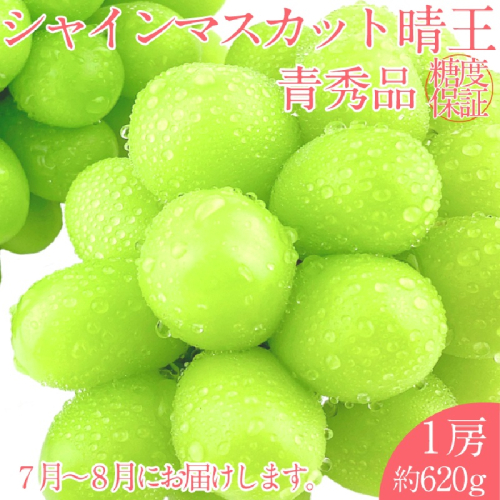 【2025年 予約受付中】 シャインマスカット 晴王 1房約620g 7月～8月出荷/ 岡山県産 種無し 皮ごと食べる みずみずしい フレッシュ 晴れの国 おかやま 果物大国 彩美菜果 1910396 - 岡山県瀬戸内市