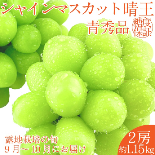 【2025年 予約受付中】 シャインマスカット 晴王 2房約1.15kg 9月～10月出荷/ 岡山県産 種無し 皮ごと食べる みずみずしい フレッシュ 晴れの国 おかやま 果物大国 彩美菜果 1910405 - 岡山県瀬戸内市