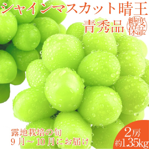 【2025年 予約受付中】 シャインマスカット 晴王 2房 約1.35kg 9月～10月出荷/ 岡山県産 種無し 皮ごと食べる みずみずしい  フレッシュ 晴れの国 おかやま 果物大国 彩美菜果 1910406 - 岡山県瀬戸内市