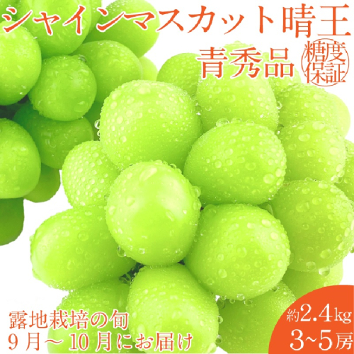 【2025年 予約受付中】 シャインマスカット 晴王 約2.4kg(3～5房) 9月～10月出荷/ 岡山県産 種無し 皮ごと食べる みずみずしい フレッシュ 晴れの国 おかやま 果物大国 彩美菜果 1910407 - 岡山県瀬戸内市