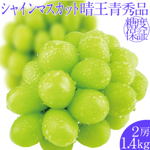 2025年予約受付中 シャインマスカット晴王2房 約1.4kg 7月～8月出荷 人気 岡山県産 種無し 皮ごと食べる みずみずしい フレッシュ 晴れの国 おかやま 果物大国 ハレノフルーツ 1910424 - 岡山県瀬戸内市