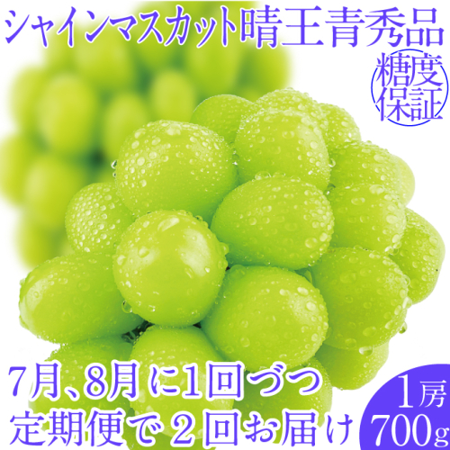 2025年予約受付中【2回定期便】 シャインマスカット晴王1房 約700g 7月8月に出荷 人気 岡山県産 種無し 皮ごと食べる みずみずしい フレッシュ 晴れの国 おかやま 果物大国 ハレノフルーツ 1910426 - 岡山県瀬戸内市