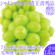 2025年予約受付中【3回定期便】シャインマスカット晴王2房 約1.4kg 7月8月9月に出荷 人気 岡山県産 種無し 皮ごと食べる みずみずしい ハレノフルーツ