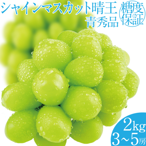 2026年 先行予約受付中 シャインマスカット晴王 約2kg(3～5房) 岡山県産 種無し 皮ごと食べる みずみずしい 甘い フレッシュ 瀬戸内 晴れの国 おかやま 果物大国 ハレノフルーツ 1910438 - 岡山県瀬戸内市