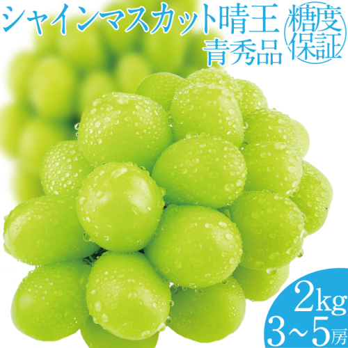 2025年 先行予約受付中 シャインマスカット晴王 約2kg(3～5房) 岡山県産 種無し 皮ごと食べる みずみずしい 甘い フレッシュ 瀬戸内 晴れの国 おかやま 果物大国 ハレノフルーツ 1910438 - 岡山県瀬戸内市