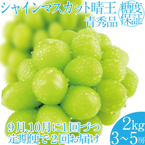 2025年 先行予約受付中【2回定期便】シャインマスカット晴王約2kg(3～5房) 岡山県産 種無し 皮ごと食べる みずみずしい 甘い フレッシュ 瀬戸内 晴れの国 おかやま 果物大国 ハレノフルーツ 1910444 - 岡山県瀬戸内市