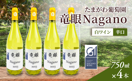 ワイン　竜眼Nagano　【GI長野】認定　4本セット 長野市 白ワイン 1910533 - 長野県長野市