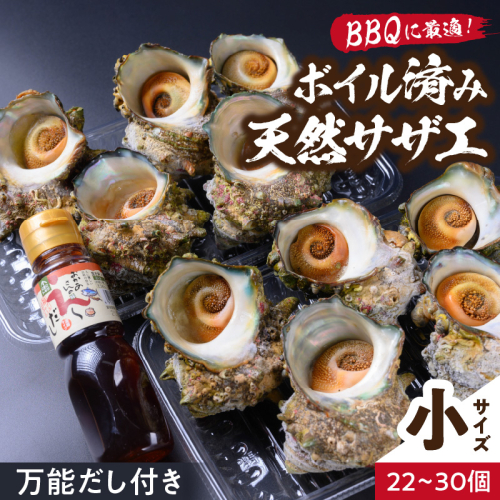 BBQに最適！　天然サザエ　ボイル済み　1.6K　小サイズ（22～30個）　※万能ダシ付き
 1910885 - 京都府京丹後市