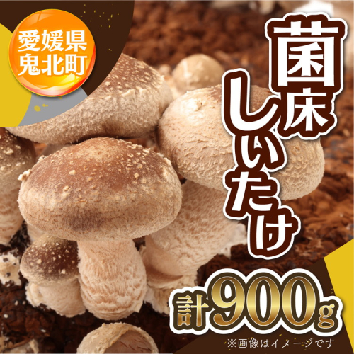 菌床しいたけ 900g（2L～3L）24個 ｜ 肉厚 収穫直後 新鮮 旨味たっぷり 菌床栽培 国産 きのこ キノコ 野菜 料理 食品 産地直送 自宅用 愛媛県鬼北町　※離島への配送不可　※2026年7月下旬頃までに順次発送予定
 1910912 - 愛媛県鬼北町