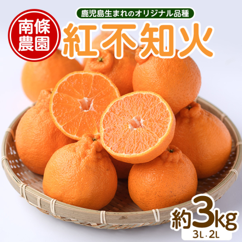 【先行予約】紅 不知火 (3L・2L) 約3kg しらぬい みかん ミカン 蜜柑 柑橘 果物 くだもの フルーツ 【南條農園】nannjyo-7260 1910913 - 鹿児島県長島町