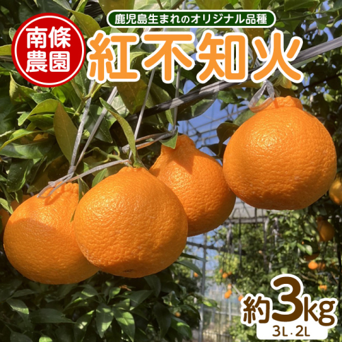 紅 不知火 (3L・2L) 約3kg しらぬい みかん ミカン 蜜柑 柑橘 果物 くだもの フルーツ 【南條農園】nannjyo-1440 1910913 - 鹿児島県長島町