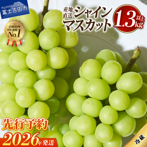 【2026年発送 先行予約】高級 山梨県産 シャインマスカット 2～3房 （1.3kg以上）
