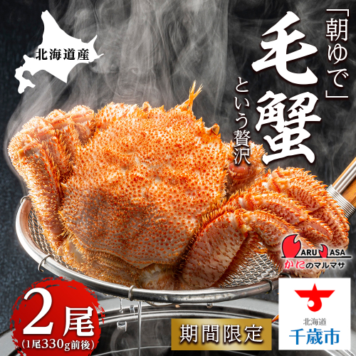 北海道産【朝ゆで】毛ガニ（330g前後）2尾 期間限定！≪かにのマルマサ≫ 191201 - 北海道千歳市