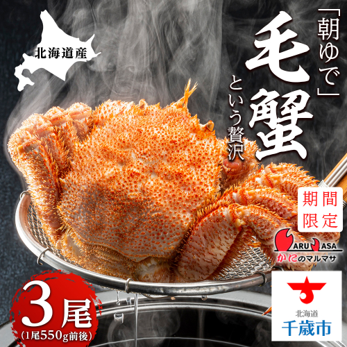 北海道産【朝ゆで】毛ガニ（550g前後）3尾 期間限定！≪かにのマルマサ≫ かに 毛がに カニ 千歳 北海道 海鮮 191208 - 北海道千歳市