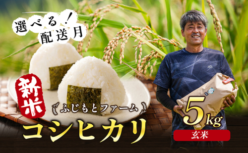 令和6年産 ふじもとファームの新米【コシヒカリ(玄米)5kg】 お米 水分量 うまみ 香り 191276 - 香川県東かがわ市