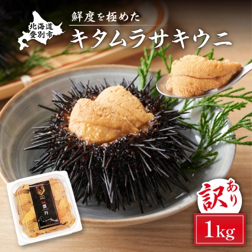 ≪規格外品≫キタムラサキウニ1kg(100gパック入り×10個)※2023年6月下旬よりお届け 191341 - 北海道登別市
