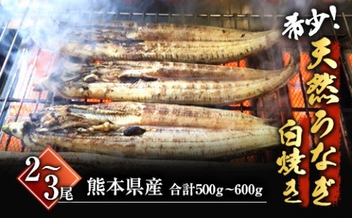 希少！天然鰻 白焼き 大きめサイズ（2-3匹）計約500g-600g 191374 - 熊本県八代市