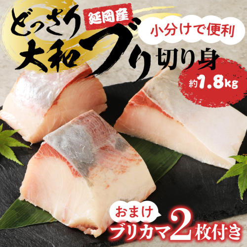 どっさり大和ブリ切り身 N072-YC118 191411 - 宮崎県延岡市