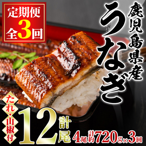 【80042】＜定期便・全3回＞東串良町のうなぎ蒲焼(無頭)(4尾・計約720g・タレ、山椒付×3回)うなぎ 高級 ウナギ 鰻 国産 蒲焼 蒲焼き たれ 鹿児島 ふるさと 人気【アクアおおすみ】 191520 - 鹿児島県東串良町